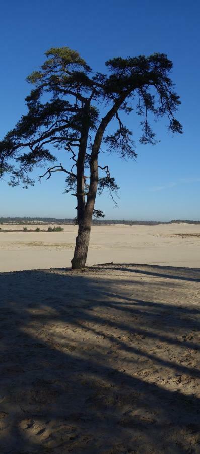B&B Achterom Loon op Zand 외부 사진